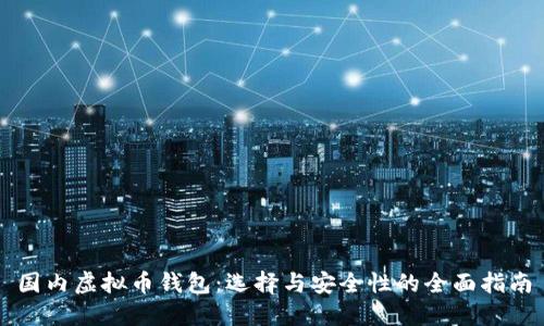 国内虚拟币钱包：选择与安全性的全面指南