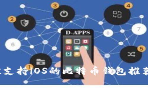 2023年最佳支持iOS的比特币钱包推荐与使用指南