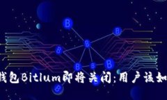 比特币钱包Bitlum即将关闭：用户该如何