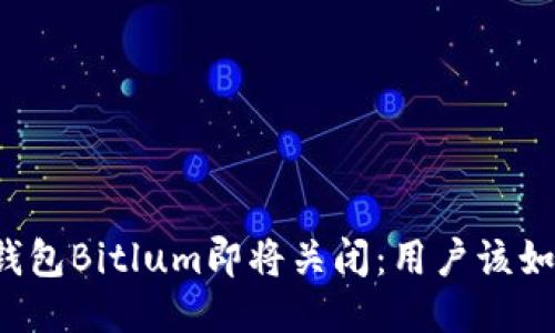 比特币钱包Bitlum即将关闭：用户该如何应对？