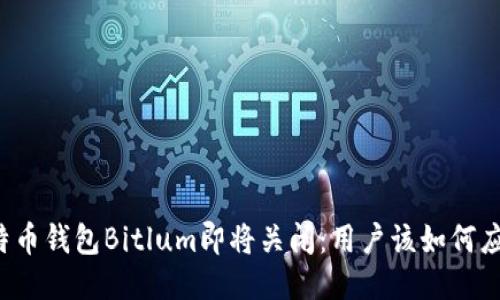 比特币钱包Bitlum即将关闭：用户该如何应对？