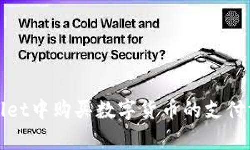 在tpWallet中购买数字货币的支付方式详解