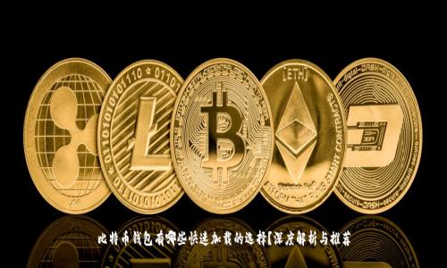 比特币钱包有哪些快速加载的选择？深度解析与推荐