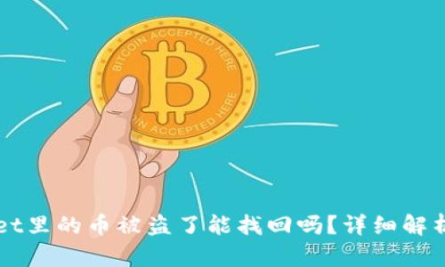 tpWallet里的币被盗了能找回吗？详细解析与对策