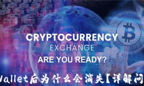 
USDT转到tpWallet后为什么会消失？详解问题及解决方案