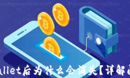 
USDT转到tpWallet后为什么会消失？详解问题及解决方案