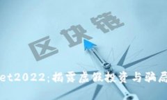 tpWallet2022：揭露虚假投资与骗局的真相