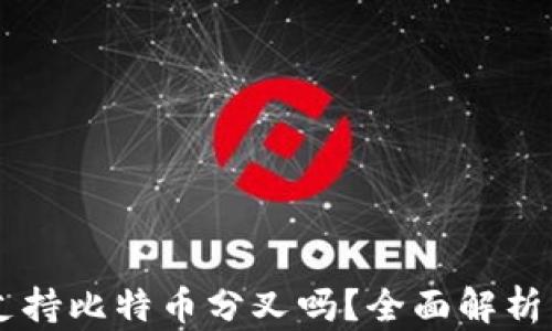 
币信钱包支持比特币分叉吗？全面解析与使用指南