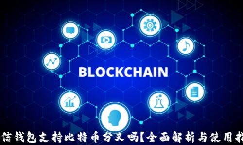 
币信钱包支持比特币分叉吗？全面解析与使用指南