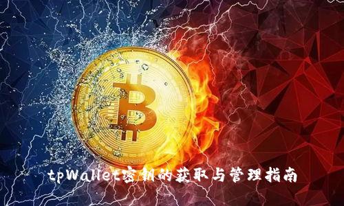 tpWallet密钥的获取与管理指南