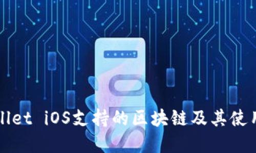 tpWallet iOS支持的区块链及其使用指南