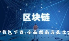 XRP钱包下载：全面指南与最佳实践