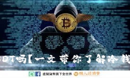 TP冷钱包能放USDT吗？一文带你了解冷钱包的优势与选择