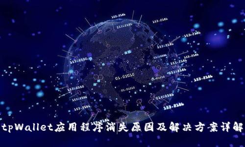 tpWallet应用程序消失原因及解决方案详解