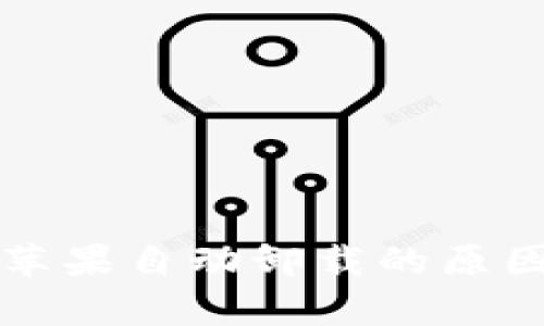 tpWallet被苹果自动卸载的原因及解决方案