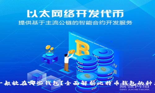 比特币一般放在哪些钱包？全面解析比特币钱包的种类与选择