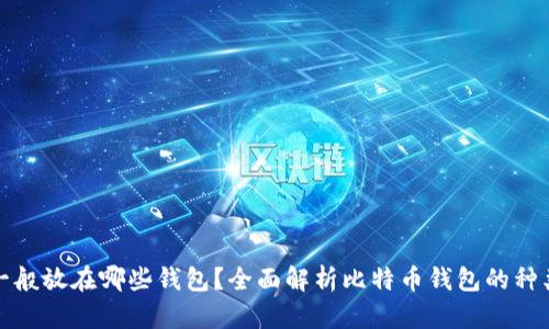 比特币一般放在哪些钱包？全面解析比特币钱包的种类与选择