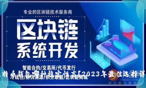 比特币钱包哪种稳定性高？2023年最佳选择详解
