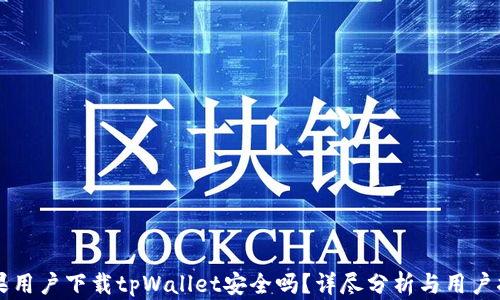 
苹果用户下载tpWallet安全吗？详尽分析与用户指南