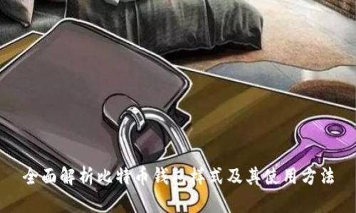全面解析比特币钱包样式及其使用方法