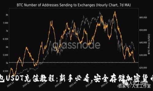 :
冷钱包USDT充值教程：新手必看，安全存储加密货币指南
