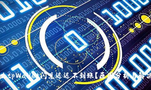 为什么tpWallet闪兑迟迟不到账？原因分析与解决方案