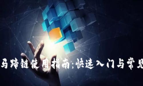 tpWallet马蹄链使用指南：快速入门与常见问题详解