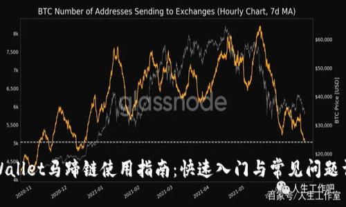 tpWallet马蹄链使用指南：快速入门与常见问题详解