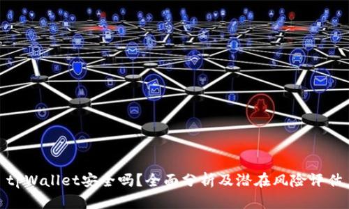 tpWallet安全吗？全面分析及潜在风险评估