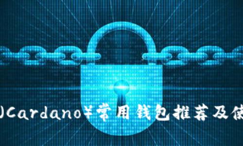 艾达币（Cardano）常用钱包推荐及使用指南