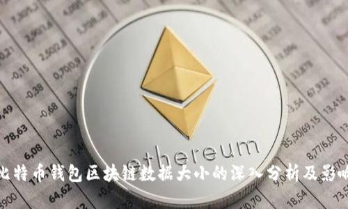 比特币钱包区块链数据大小的深入分析及影响