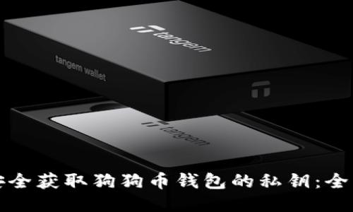 如何安全获取狗狗币钱包的私钥：全面指南