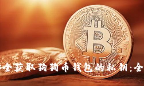 如何安全获取狗狗币钱包的私钥：全面指南
