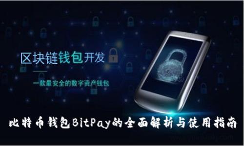 比特币钱包BitPay的全面解析与使用指南