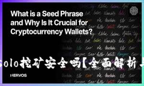 tpWalletsolo挖矿安全吗？全面解析与用户指南