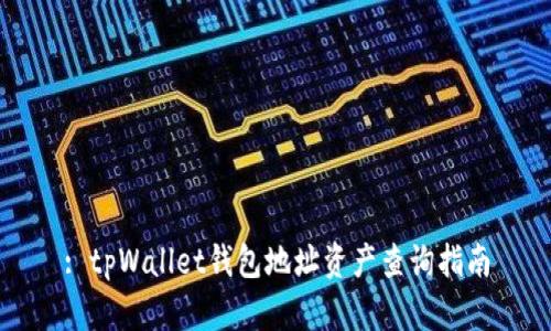: tpWallet钱包地址资产查询指南