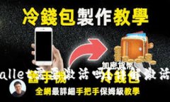 第一次使用tpWallet需要激活吗？详解激