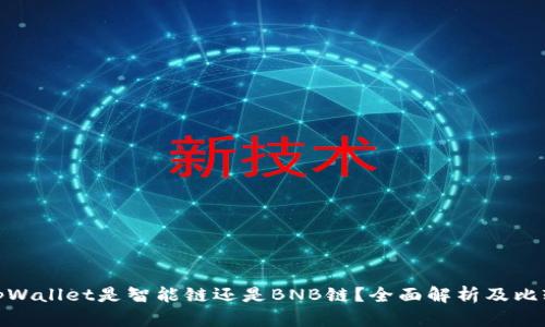 tpWallet是智能链还是BNB链？全面解析及比较