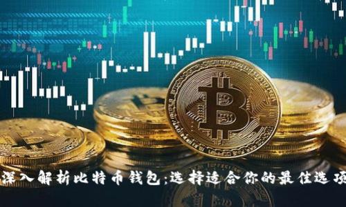 深入解析比特币钱包：选择适合你的最佳选项