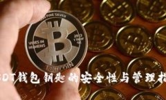 USDT钱包钥匙的安全性与管理指南