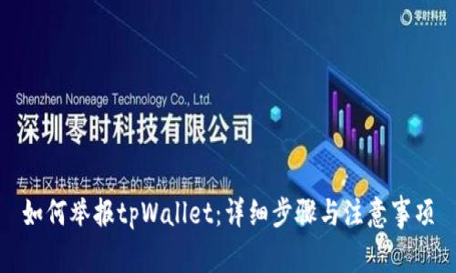 如何举报tpWallet：详细步骤与注意事项