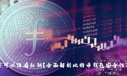 比特币钱包是否可以没有私钥？全面解析比特币钱包安全性及私钥的重要性