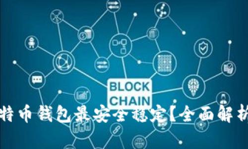 哪种比特币钱包最安全稳定？全面解析与推荐