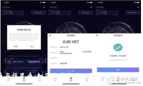 瑞波币与恒星币：如何选择合适的钱包进行数字资产管理
