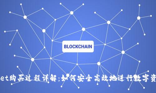 tpWallet购买过程详解：如何安全高效地进行数字资产交易
