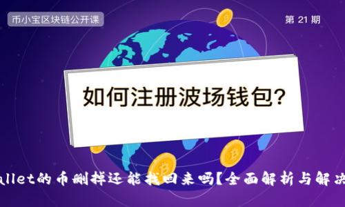 tpWallet的币删掉还能找回来吗？全面解析与解决方案