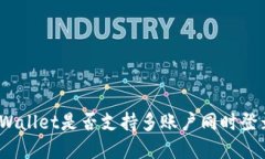 tpWallet是否支持多账户同时登录？