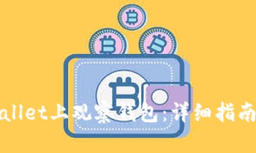 如何从tpWallet上观察钱包：详细指南与实用技巧