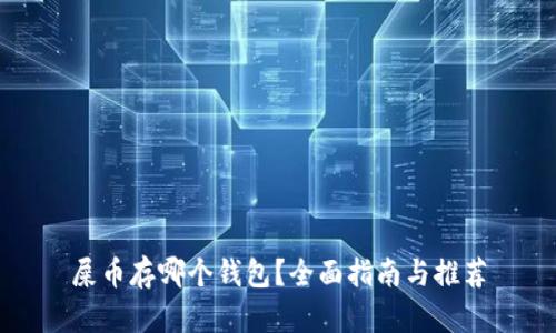 屎币存哪个钱包？全面指南与推荐