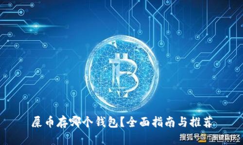 屎币存哪个钱包？全面指南与推荐
